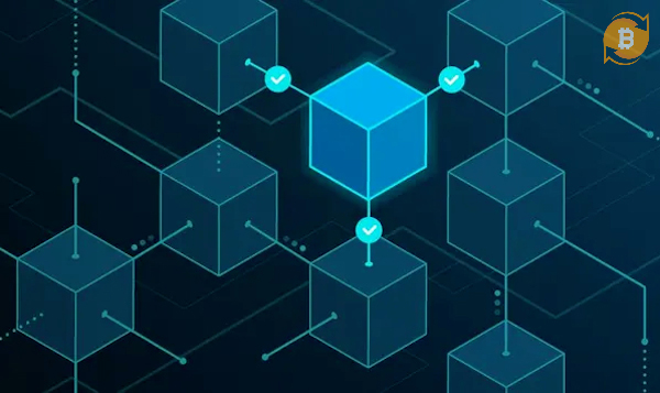 Những node sẽ đảm bảo về tính bảo mật cho blockchain