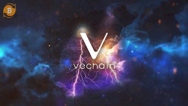 Các ngành công nghiệp hiện nay đang áp dụng VeChain vô cùng rộng rãi