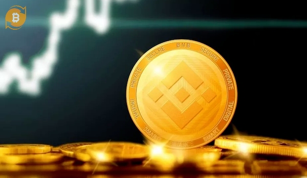 Binance Coin (BNB) là token tiện ích của sàn Binance được dùng để giảm phí giao dịch