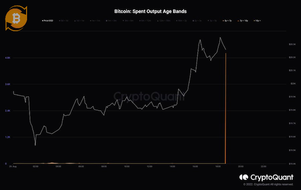 Cá voi đã chuyển 5.000 BTC lên sàn sau nhiều giai đoạn khác nhau