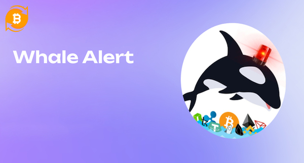 Whale Alert cung cấp các thông tin mới nhất về các cuộc giao dịch crypto số lượng lớn