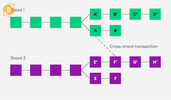 Sharding là kỹ thuật phân chia dữ liệu thành các phần nhỏ để tối ưu hóa hiệu suất blockchain