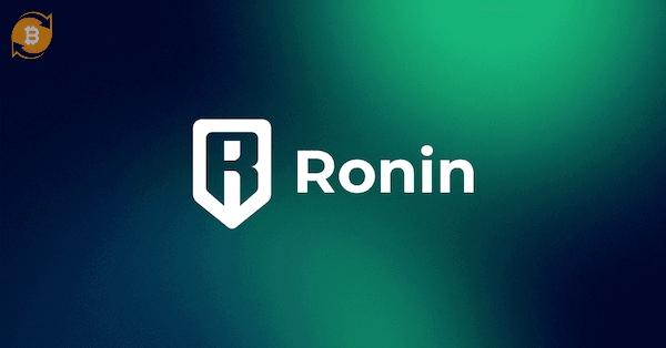 Ronin Network là một dạng game blockchain được phát triển bởi Sky Mavis