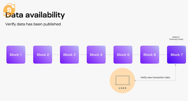Data Availability Network là hạ tầng lưu trữ dữ liệu chuyên biệt
