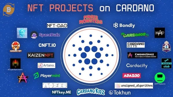 Hệ sinh thái NFT ở blockchain Cardano vô cùng phong phú