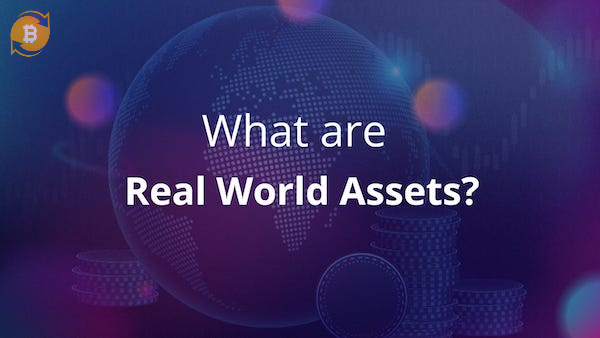 Real World Assets là gồm những tài sản truyền thống có thể token hoá đưa vào blockchain