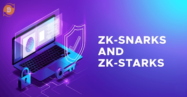 2 công nghệ nổi bật thuộc Non-Interactive ZKP là ZK-SNARK và ZK-STARK, đang được ứng dụng rộng rãi